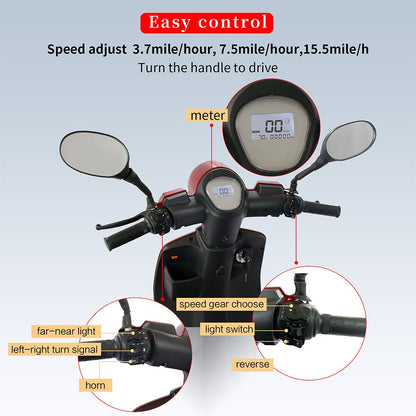 Zvg Premium 4-Wheel Electric Motorized Adults Travel Mobility Scooter For Adults, 800W (SAK94712)